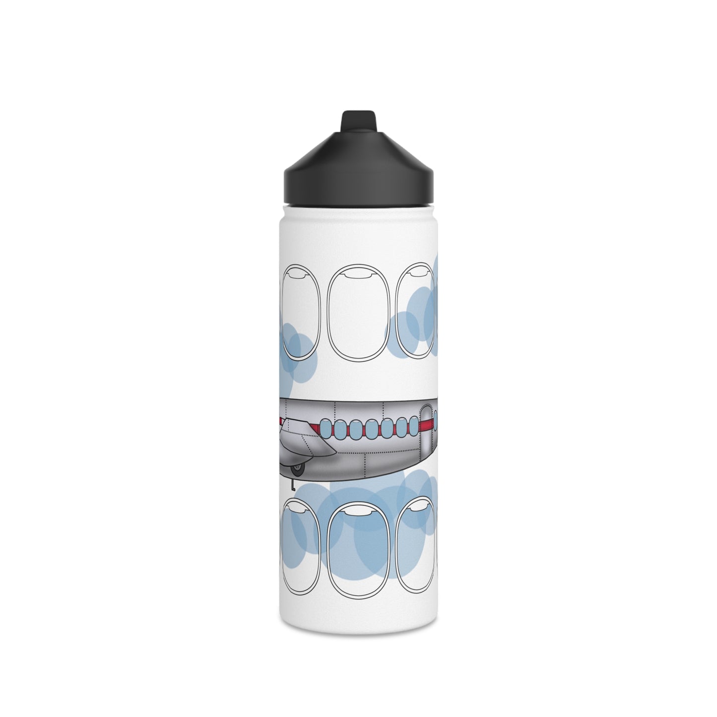 Window collection Stainless Steel Water Bottle, Standard Lid