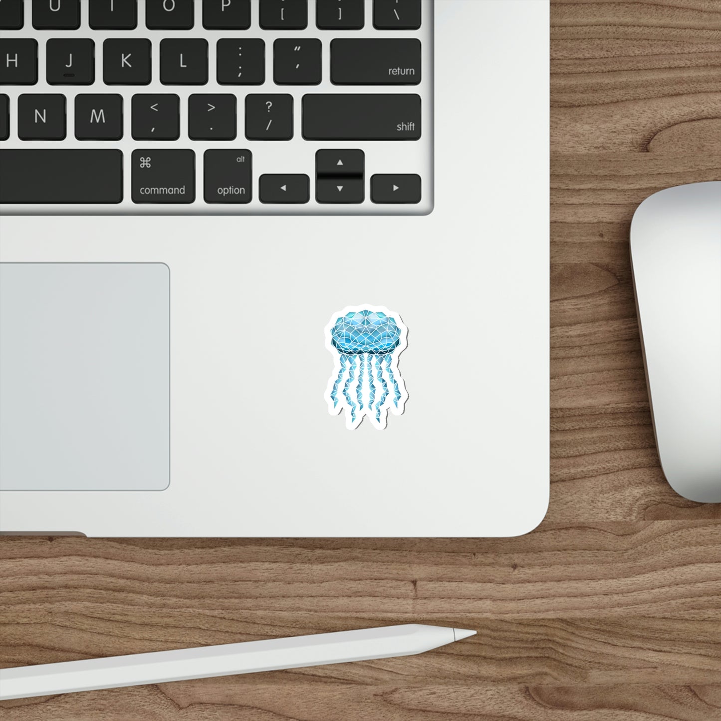Blue Jelly Fish