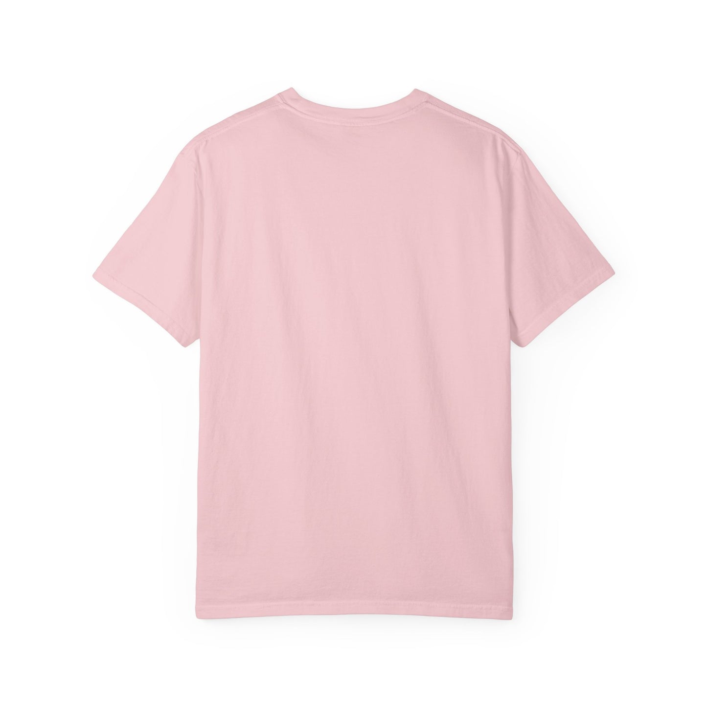 Just Winging It Travel T-Shirt