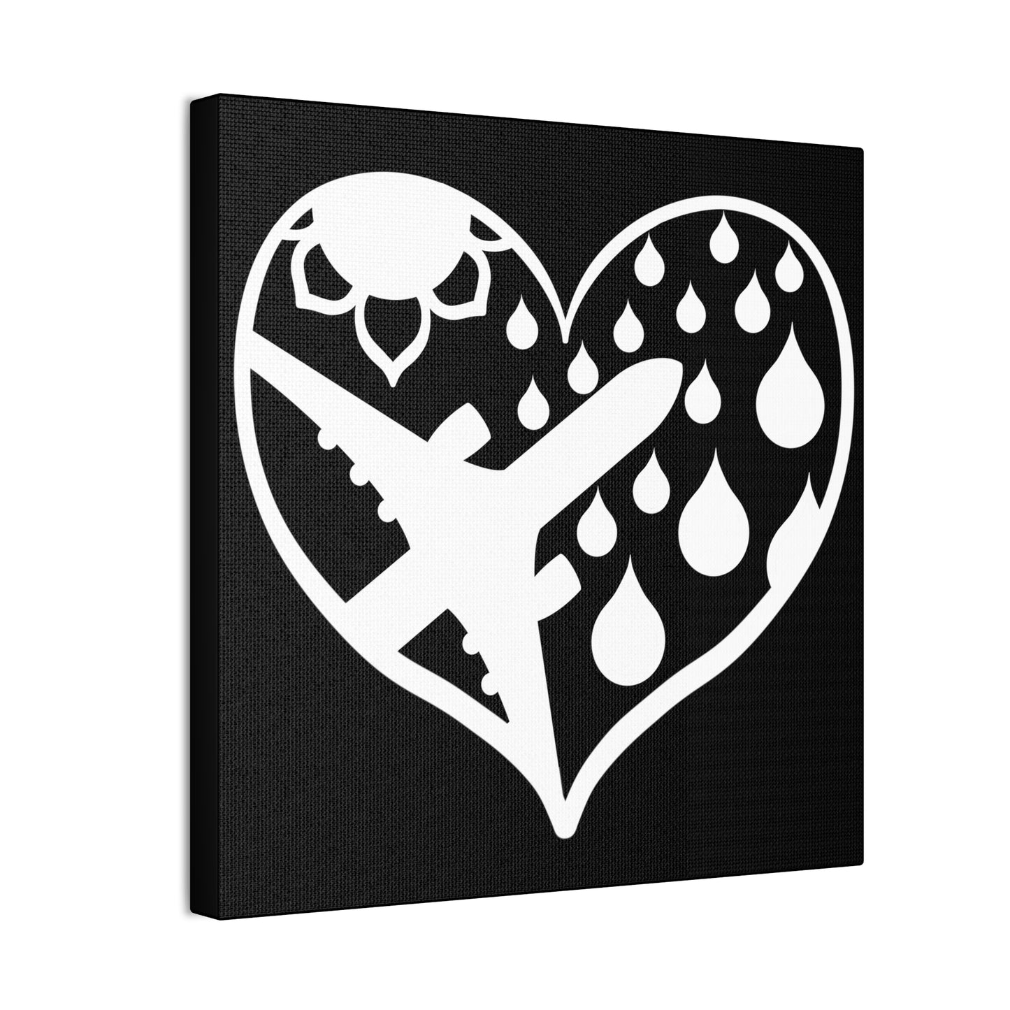 Airplane Heart with rain and sun images