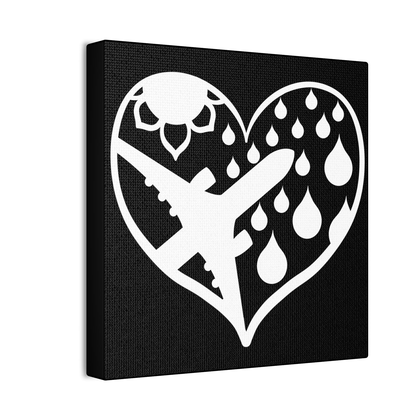 Airplane Heart with rain and sun images