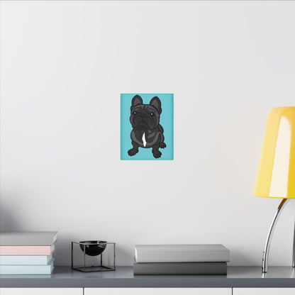 Junior's French Bulldog