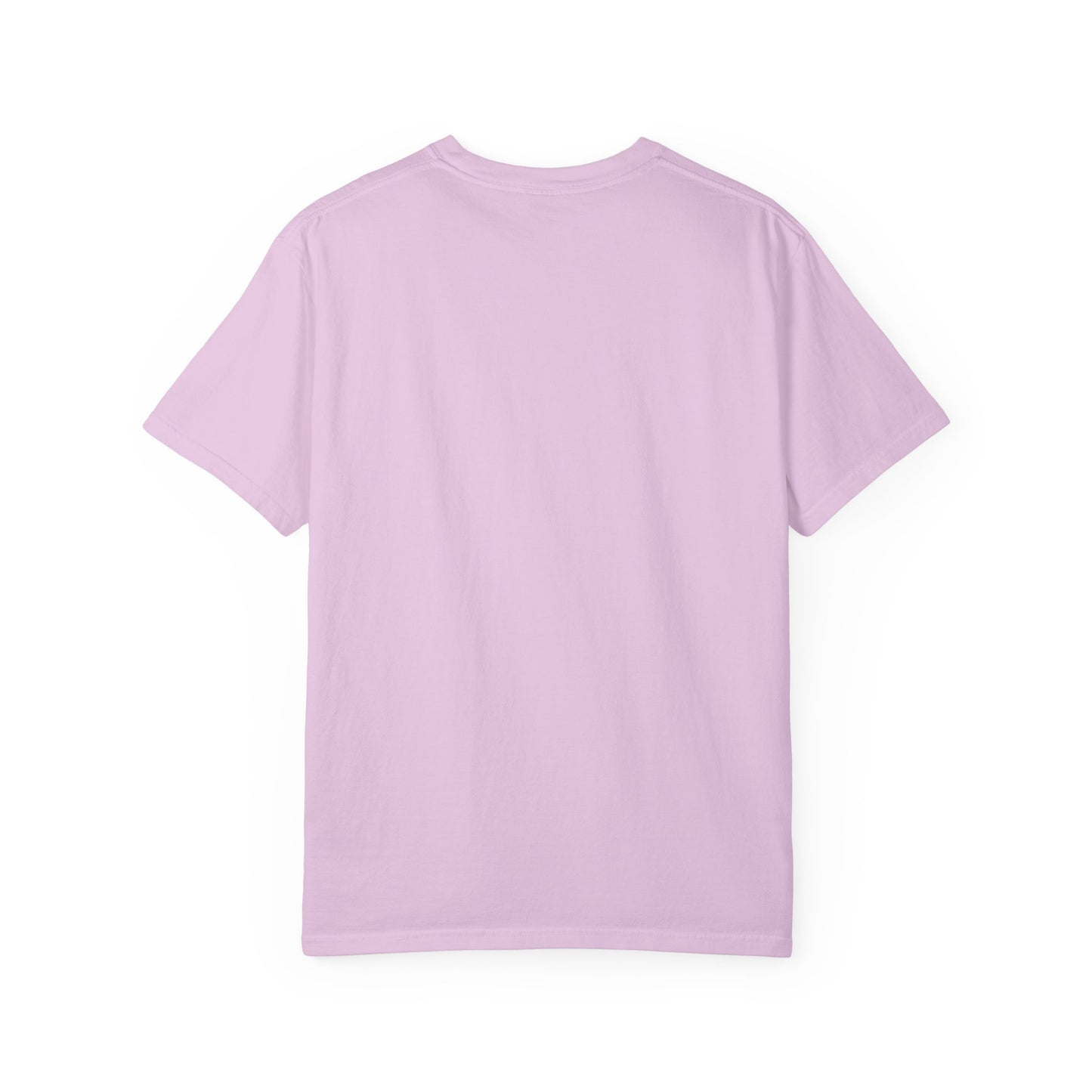 Just Winging It Travel T-Shirt