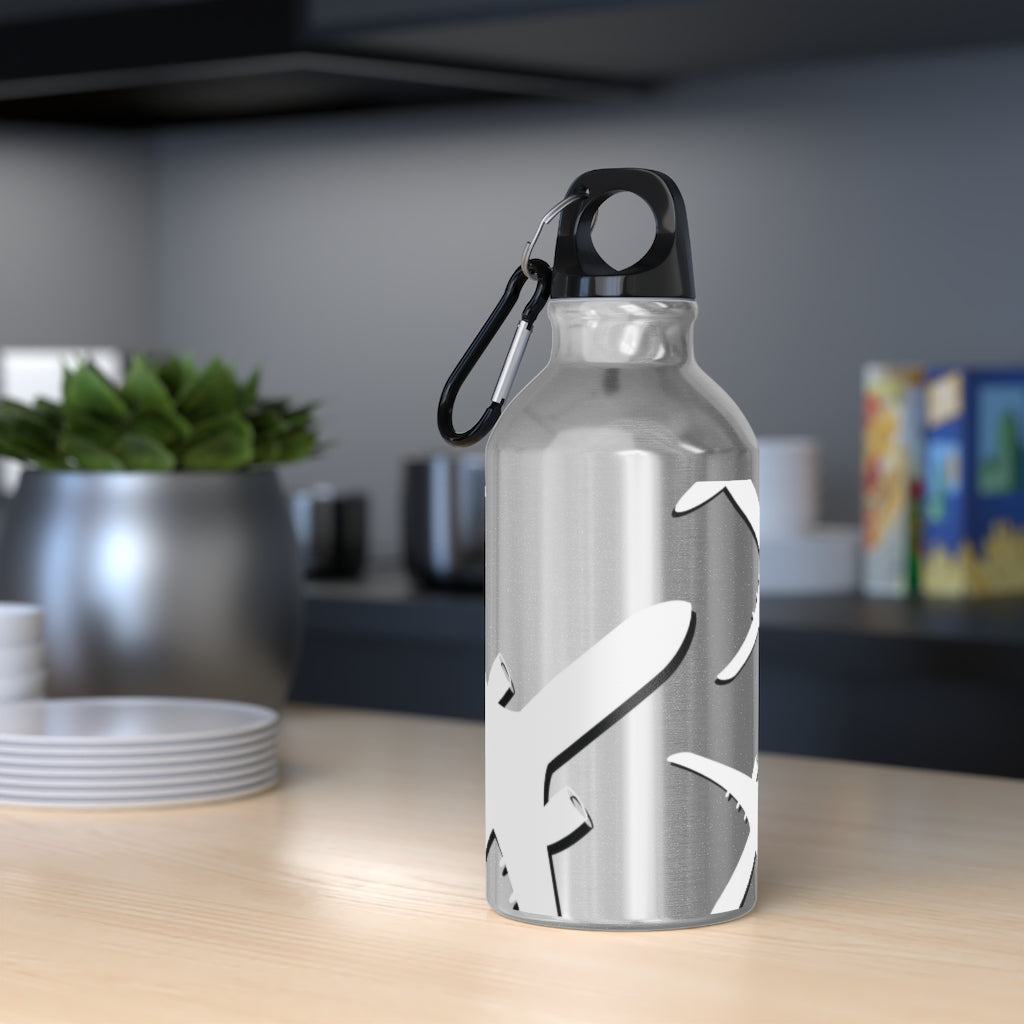 Airplane Water Bottle